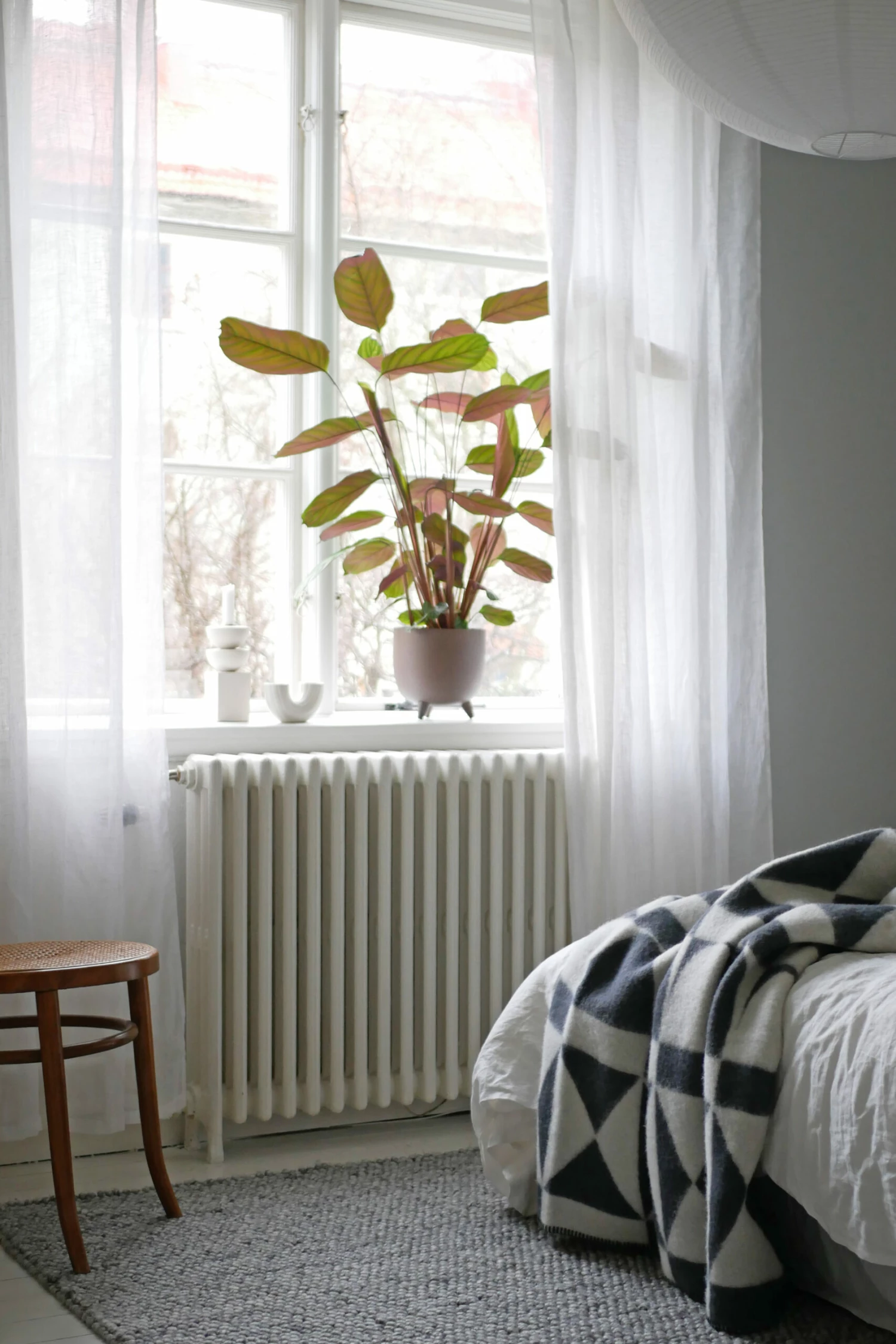 Bows Villahuopa 130x170 Cm 2 Bows Villahuopa 130x170 Cm - Image 2